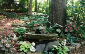 image of Miriam's garden