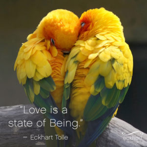 image Birds-Ekhart