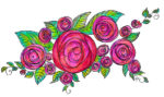 image of roses zentangle