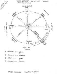 image Magnetic Medicine Wheel