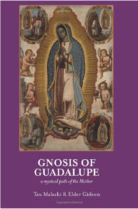 Book Cover Gnosis of Guadalupe