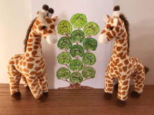 img medicine wheel giraffes