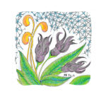 image- Zt art Colored