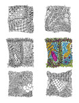 img of 6 3in zentangle drawings