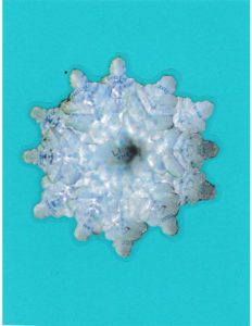 Image WaterCrystal2