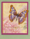 card butterfly
