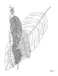 Img ZenTangle Feather